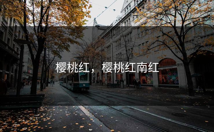 樱桃红，樱桃红南红